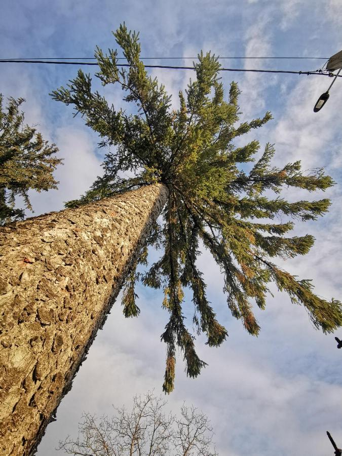 Jugul Taranului Agropensiune Polovragi, Gorj Villa Bagian luar foto